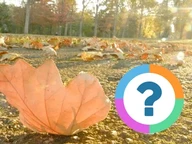Klassenquiz: Jahreszeiten- Herbst
