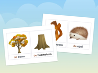 Woordkaarten (aanpasbaar): Thema Herfst