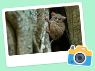 Foto van de dag: Flora & Fauna #001