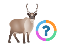 Klassenquiz: Kerstmis