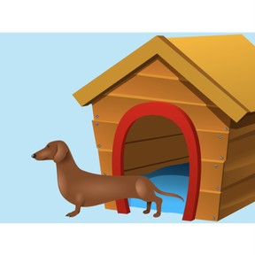 Design shelter to protect an animal from the sun