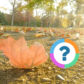 Klassenquiz: Seizoenen - De herfst