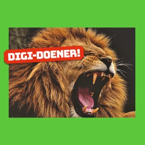 Digi-doener: Posterpret