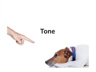 Word choice and tone