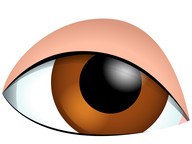 Distinguish your own point of view from the author's