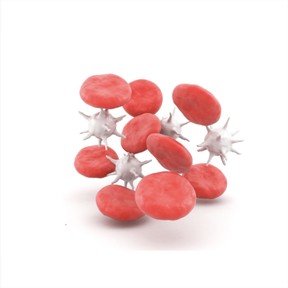 Introduction to cells