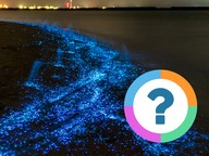 Klassenquiz: Raar maar waar