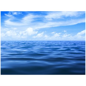 Locate and describe the oceans