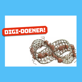 Digi-doener: Hexahexaflexagons