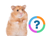 Klassenquiz: Engels - De dieren