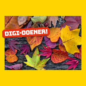 Digi-doener: Herfstschatten