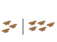 Comparing quantities up to 10