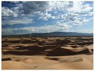 Desert habitats
