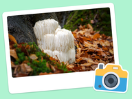 Foto van de dag: Flora & Fauna #015