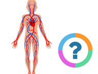 Klassenquiz: Natuur - De mens