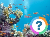 Quiz pour la classe: Animaux- Poissons