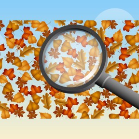 Dagstarters: Verborgen object (herfst)