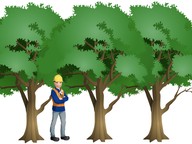 Introduction to natural resources