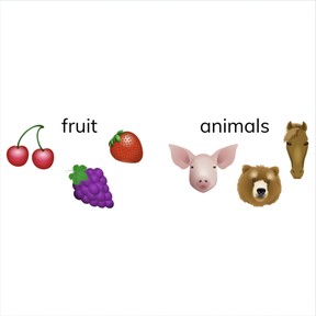 Sort common objects into categories 