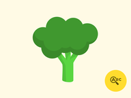 Taalontdekkers / AN: Groente