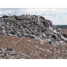 Pollution and waste management