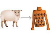 Man-made objects obtained from natural resources