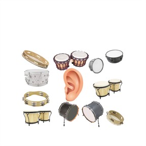 Exploring the world of sounds