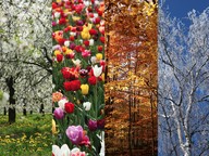 Effects of seasonal weather changes on communities