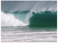 Tsunamis
