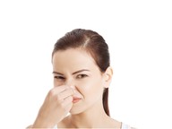 How does my nose work?