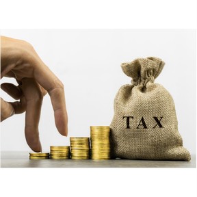 Why do we have taxes?