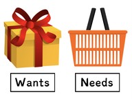 Wants and needs