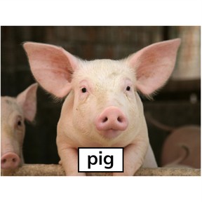 Print the letter Pp