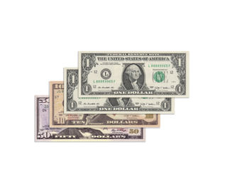 Working with bills up to $100