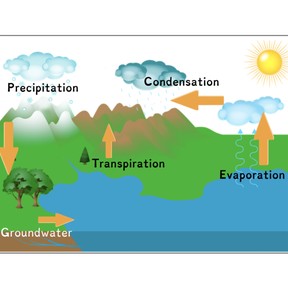 The Water Cycle