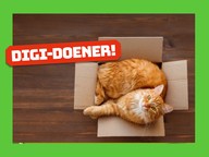 Digi-doener: Duurzaam design 4 | Slim verpakken