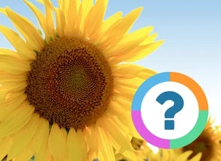 Quiz pour la classe: Nature- Arbres et fleurs