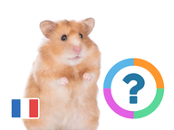Klassenquiz: Frans - De dieren