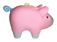 Beginning financial literacy