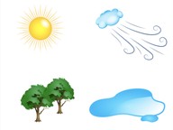 How are renewable resources used as energy?