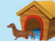 Design shelter to protect an animal from the sun