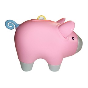 Beginning financial literacy