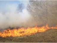 Wildfires