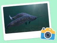 Foto van de dag: Flora & Fauna #017