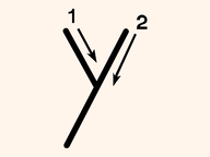 Letter Y Tracing