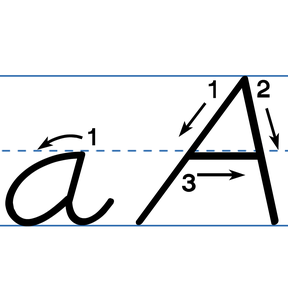 Handwriting Letters - D'Nealian Block
