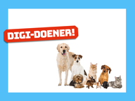 Digi-doener: Blij huisdier!