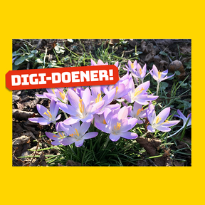 Digi-doener: Lente!