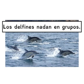 Información de ilustraciones/dibujos y de palabras