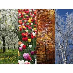 Effects of seasonal weather changes on communities